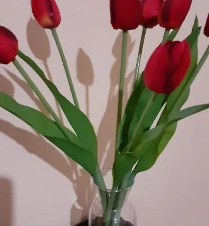 Apartment La Playa Di Ponente Cagliari